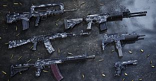 Insurgency: Sandstorm - Year 1 Pass