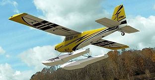 RealFlight Evolution - 2024 Year Content Pass