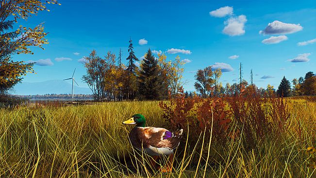 Way of the Hunter - Lintukoto Reserve