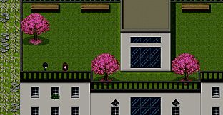 【NekoGakuen】《MatthiolaReverieVerse:LostIsland》