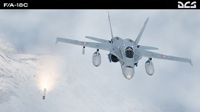 DCS: F/A-18C