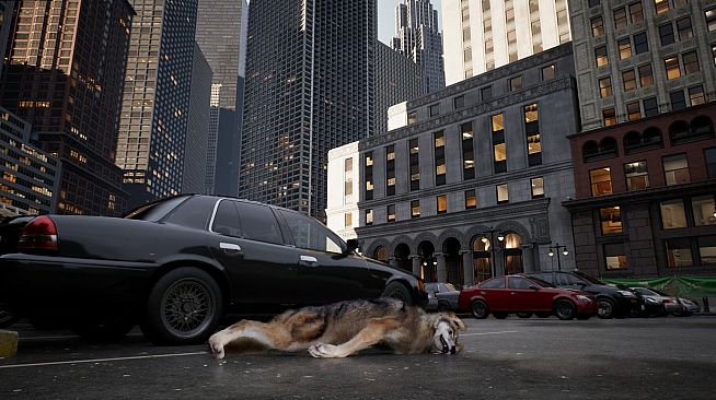 Pigeon Flight Simulator