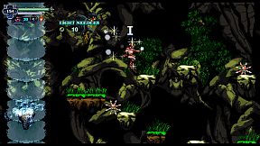 Chronicles of the Wolf