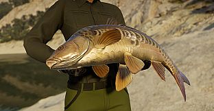 Call of the Wild: The Angler - Spain Reserve