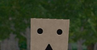 Hide and Seek - Box Head