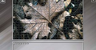 Super Jigsaw Puzzle: Generations - Forests