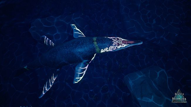 Beasts of Bermuda - Kronosaurus Supporter Warpaint