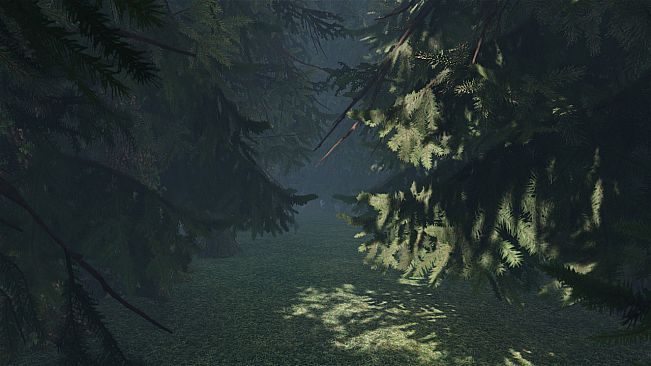 maze to the old castle