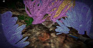 Lionfish Reef Patrol