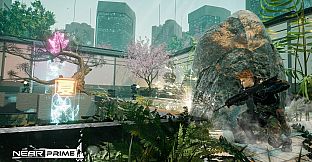 NearPrime VR - Net Burn