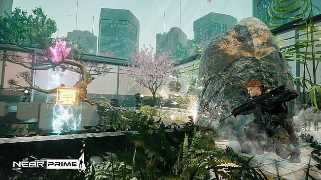 NearPrime VR - Net Burn