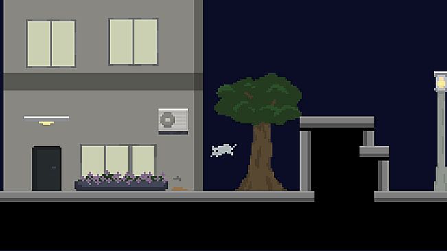 A Good Cat and The Graduate Life