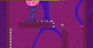 Ninja Turdle - Coronavirus DLC