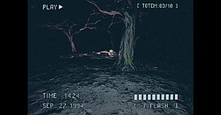 Lost Footage : Sound In The Silence