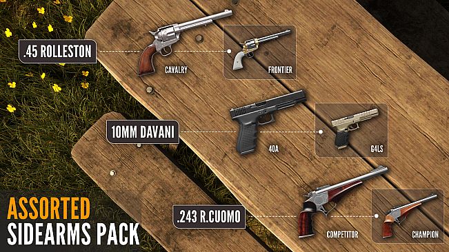 theHunter: Call of the Wild - Assorted Sidearms Pack