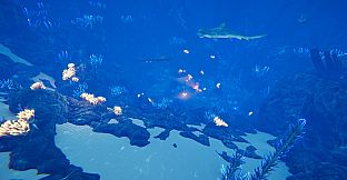 Ocean Fish