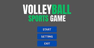 Volleyball Sports Game