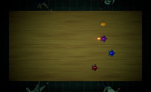 Underground Turtle Races