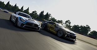 Project Motor Racing (PC)