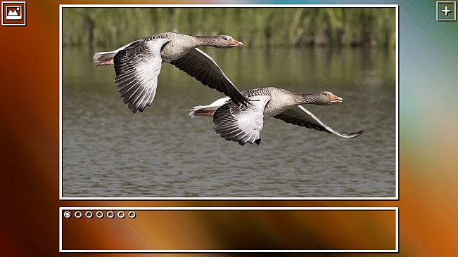 Super Jigsaw Puzzle: Generations - Birds Puzzles