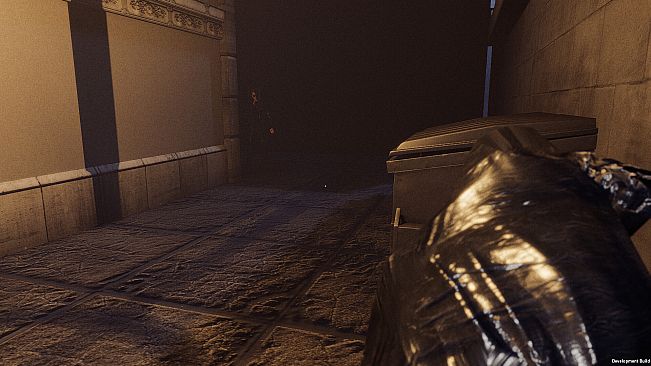 Fractured Perception