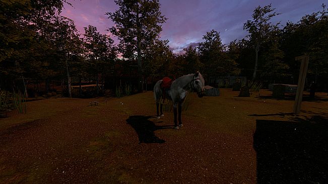 Trash Horror Collection 5