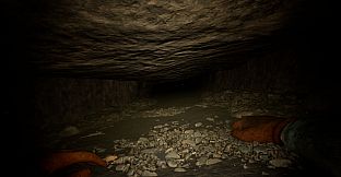 Minor Miner