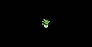Virtual Plant