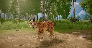 Eydigard Supporter Pack