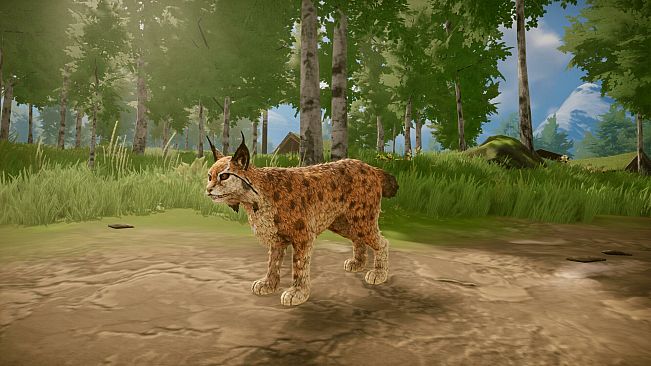 Eydigard Supporter Pack