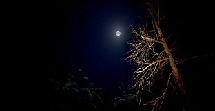 Red Light White Light