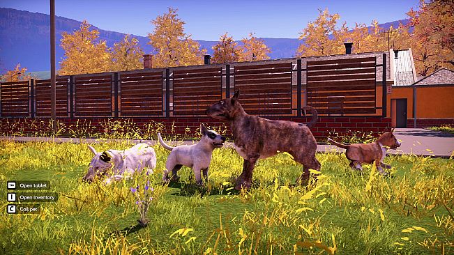 Animal Shelter 2 - Bull-Type Terriers Dogs Pack
