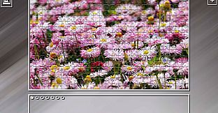 Super Jigsaw Puzzle: Generations - Flowers 2