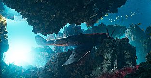 The Last Saviour: Search of Truth