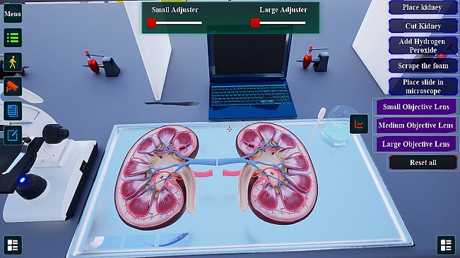 Steam To Teach CI Biology 12