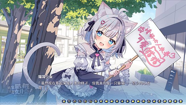 My Cat Is a Maid!