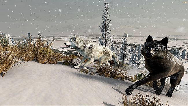 WolfQuest: Anniversary Edition
