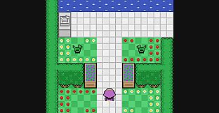 May and the Amazing Bouquet