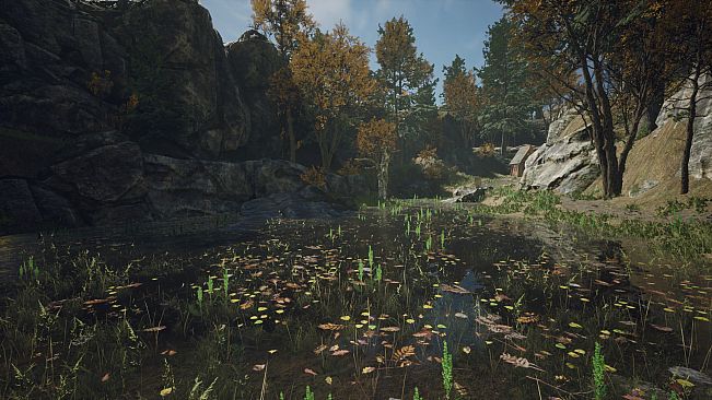 The Fold: Ingression