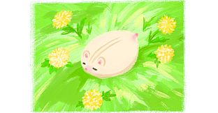 Hamstory