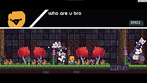 Chinchillas Attack Again