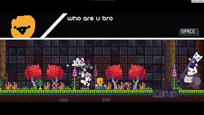 Chinchillas Attack Again