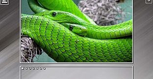 Super Jigsaw Puzzle: Generations - Snakes Puzzles