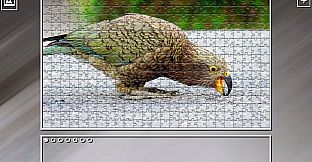 Super Jigsaw Puzzle: Generations - Parrots