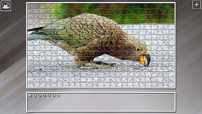 Super Jigsaw Puzzle: Generations - Parrots
