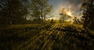 Glory or Dominance - The World Of Kleiverog