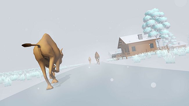 SANDSPEED: CAMEL RACING