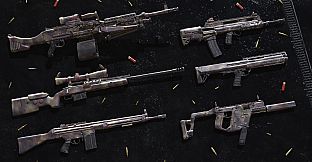 Insurgency: Sandstorm - Crisis Set Bundle