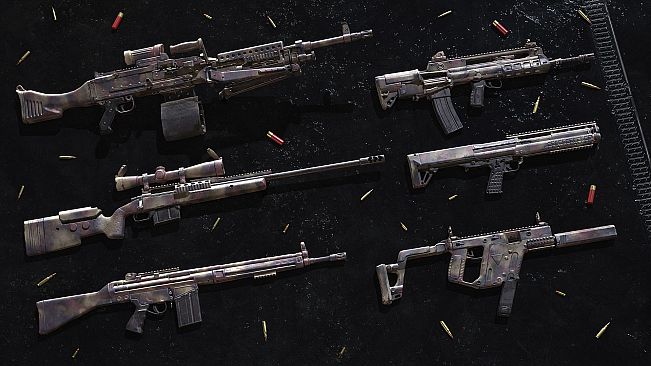Insurgency: Sandstorm - Crisis Set Bundle