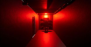 The Confined: Basement